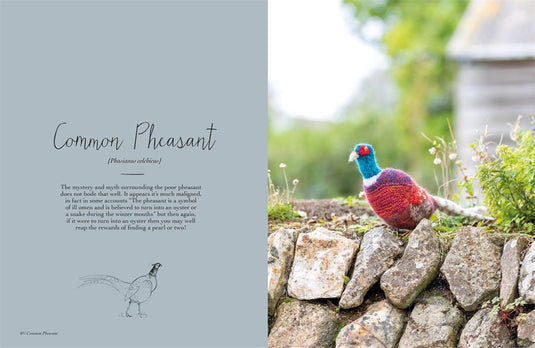 Magical Woodland Knits