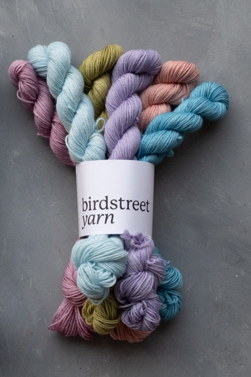 Birdstreet Yarn Minis Set