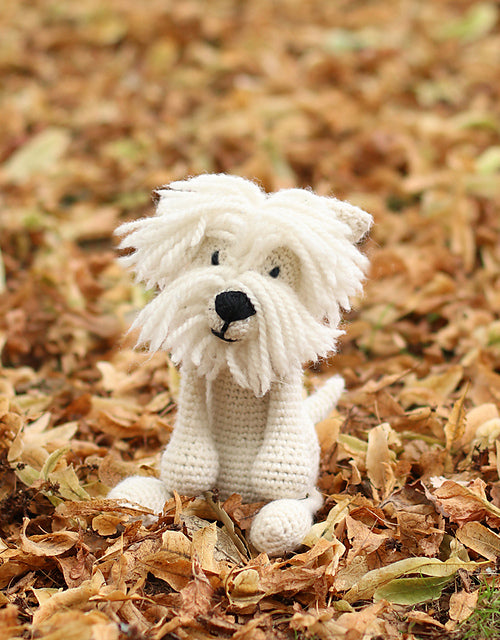 Edward's Menagerie: DOGS