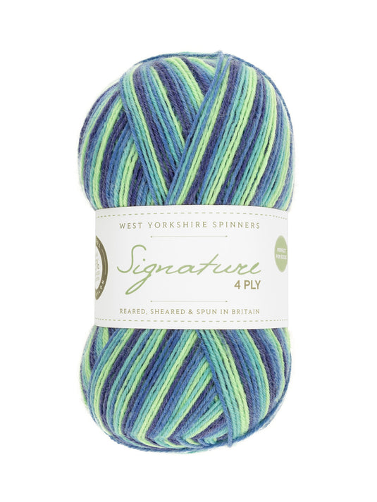 Signature 4ply Sock Yarn