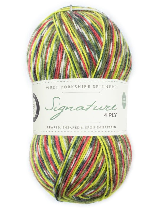 Signature 4ply Sock Yarn