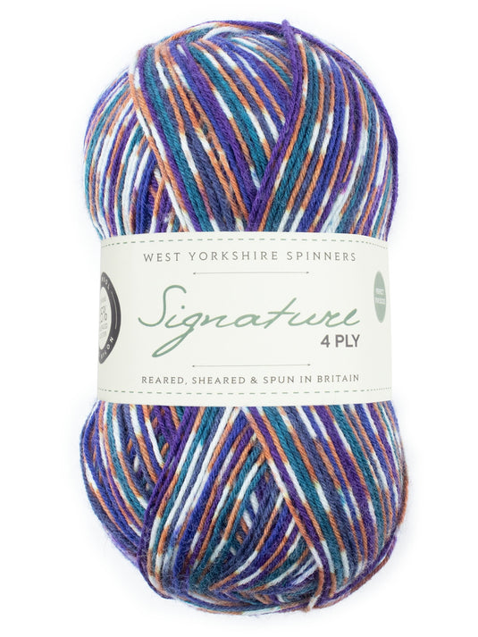 Signature 4ply Sock Yarn